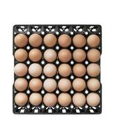 Top view eggs in package black plastic, Isolated on white background. with clipping path.