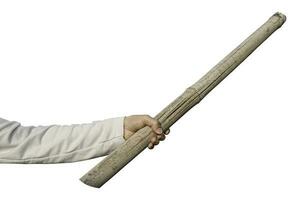 mano que sostiene el bambú aislado en un fondo blanco. con trazado de recorte. foto