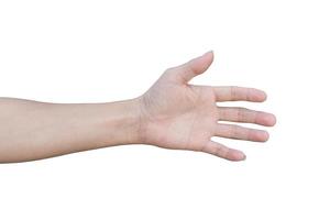 Hand palm isolated on white background with clipping path. photo