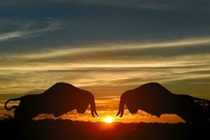 Silhouette of two bullsfighting on top of a mountain with sunset in the background. photo