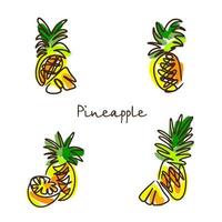 Set of multi-colored pineapples vector