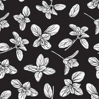 Basil Pattern. Italian herbs.A sprig of marjoram vector