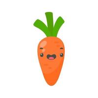 zanahorias naranjas. una fruta rica en vitaminas. para una cocina saludable vector