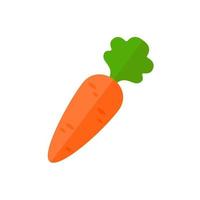 Orange carrots. a fruit that is high in vitamins. for healthy cooking vector