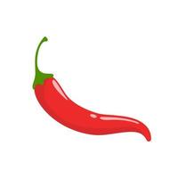 Red chili peppers. cooking ingredients vector