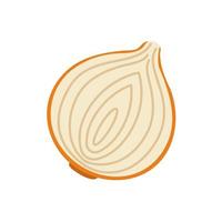 Onion vector. raw materials for cooking vector