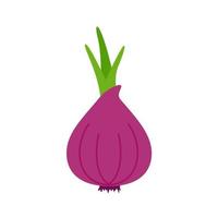 Onion vector. raw materials for cooking vector