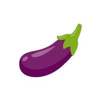 Eggplant. Ingredients for healthy cooking. vector