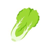 lechuga. vegetales de hojas verdes para una ensalada saludable. vector