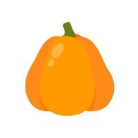 La calabaza naranja es una verdura de alta energía. para cocinar vector