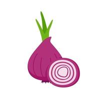 Onion vector. raw materials for cooking vector