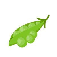 Green Peas. Ingredients for Healthy Cooking vector