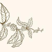 branch with leaves, Vector nature border, Coffee plant, leaves, bean, grain, branch, natural coffee leaves and beans, coffee tree illustration, vintage coffee
