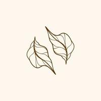 Leaf decorations, simple design of leaf, leaf outline element vector