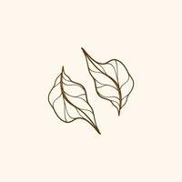 Leaf decorations, simple design of leaf, leaf outline element vector