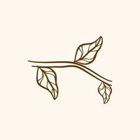 Hand drawn floral elements. Vintage botanical illustrations. Hand drawn plants. Hand drawn decorative elements. Vector branches and leaves.
