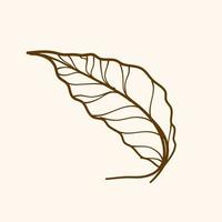 Leaf vector, simple design of leaf