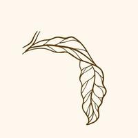 Leaf, leaf design, simple illustration of leaf vector