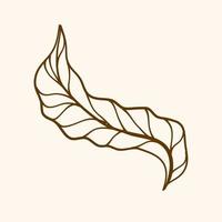 outline leaf, Simple line of leaf vector