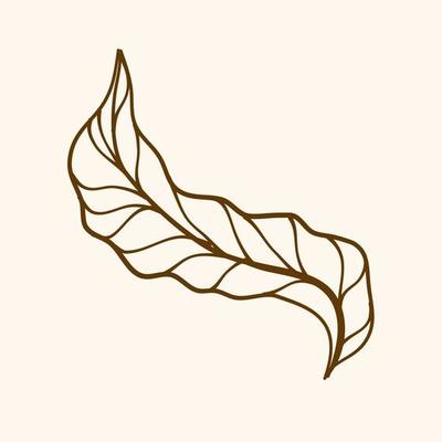 outline leaf, Simple line of leaf