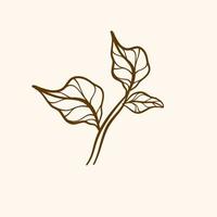 Hand drawn plants. Hand drawn decorative elements. Vector branches and leaves. Hand drawn floral elements. Vintage botanical illustrations.