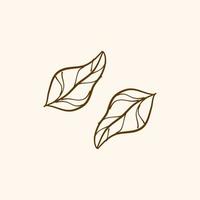 outline leaf, Simple line of leaf, for design element vector