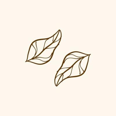 outline leaf, Simple line of leaf, for design element