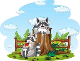Two raccoons in the park vector