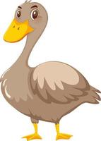 Duck cartoon character on white background vector