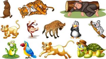 Different wild animals on white background vector