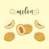 objetos aislados de melón. elementos dibujados a mano. vector