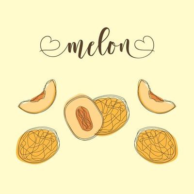 Melon Isolated Objects. Hand-drawn elements.