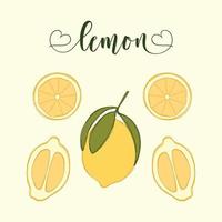 Lemon Isolated Objects. Hand-drawn elements. vector