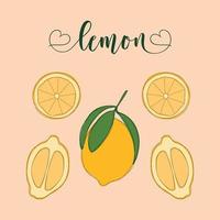 Lemon Isolated Objects. Hand-drawn elements. vector