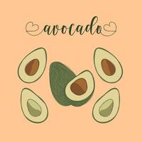 objetos aislados de aguacate. elementos dibujados a mano. vector