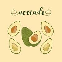 Avocado Isolated Objects. Hand-drawn elements. vector