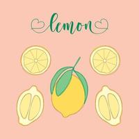 Lemon Isolated Objects. Hand-drawn elements. vector