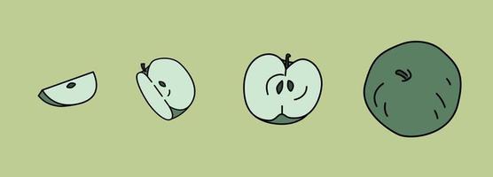 Pieces of apple on green background. Graphic elements outline. Different parts of fruit. Vector illustration