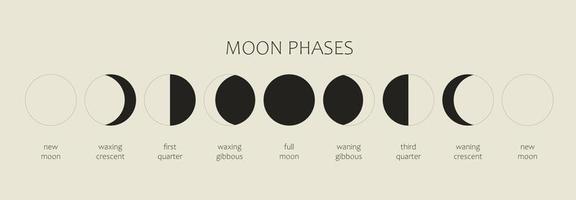 The Moon, Moon Phases on a black background. The whole cycle from the new moon to the full moon. Astronomy and lunar calendar vector illustration