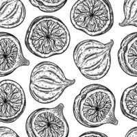 Figs seamless vector pattern. Ripe garden fruits whole, half, round slice. Sketch of summer dessert with tasty pulp, seeds. Monochrome outline of exotic plant. Hand drawn botanical background