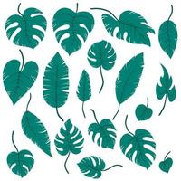 Set of green hand drawn tropical exotic leaves of different types. Jungle plants. Hibiscus leaves, monstera and palm leaves. Cartoon botanical vector illustration isolated on white background