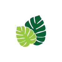 monstera leaf logo icon design template vector