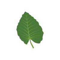 vector de plantilla de diseño gráfico de hoja verde