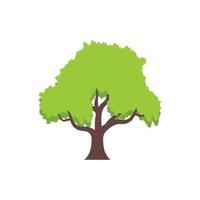 tree logo icon design template vector