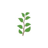 leaf branch graphic design template vector