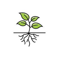 plantilla de diseño de icono de raíz de planta vector