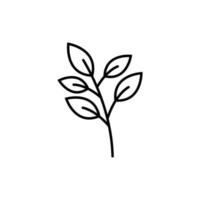 leaf branch icon design template vector