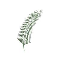 palm leaf logo icon design template vector