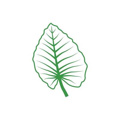 green leaf graphic design template vector