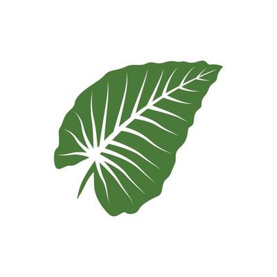 green leaf graphic design template vector